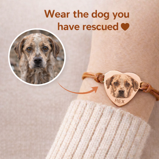 Rescue Dog Bracelet – Wear the Dog You Saved